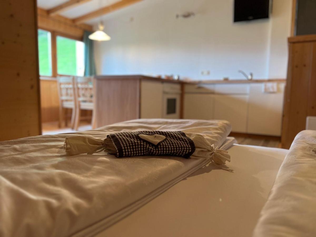 Apparthotel Bio Natur Refugium Blaslahof Santa Maddalena in Casies Exteriér fotografie